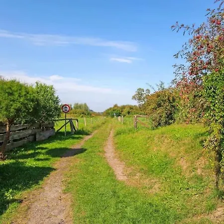 Lägenhet Wunderschoene Mit Seeblick *